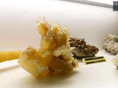 Non sono olotipi, ma incantano per la loro forma e colore la gialla �calcite� proveniente dal Messico...